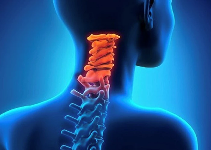 علت صدا دادن گردن و راههای درمان آن 4 ناحیۀ درگیر در هنگام کریپتوس