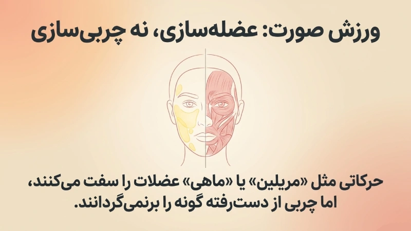 چاقی صورت و زیر چشم