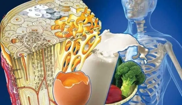 علتها، علائم، روشهای تشخیصی و درمانی پوکی استخوان 6 علت پوکی استخوان