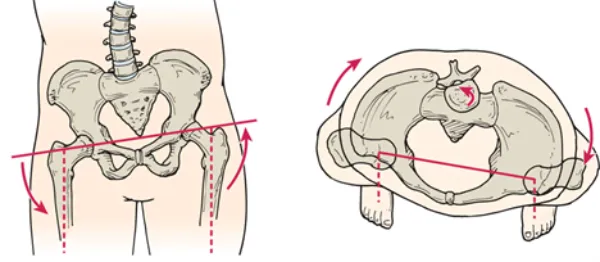 حرکات اصلاحی برای چرخش لگن