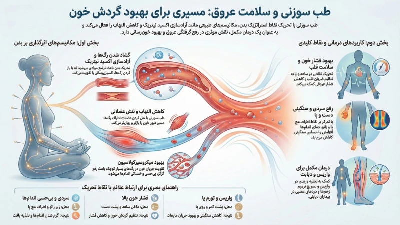طب سوزنی برای تقویت خون‌رسانی