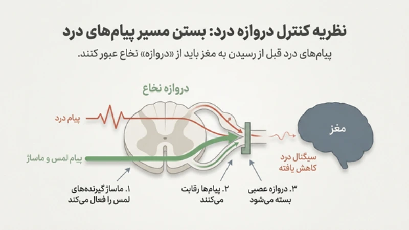 تأثیر ماساژ بر درد مزمن