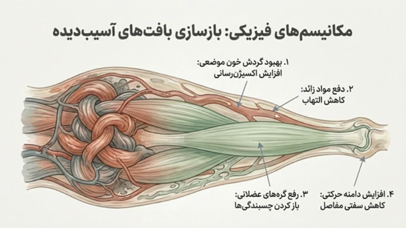 تأثیر ماساژ بر درد مزمن