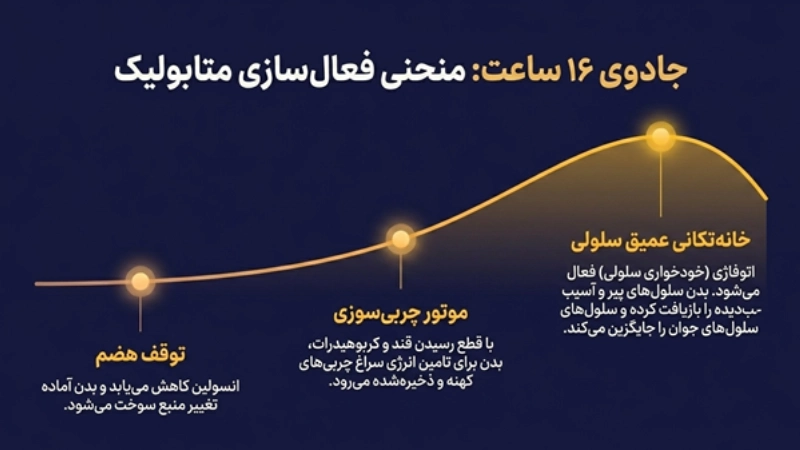 رژیم فستینگ 16/8 برای لاغری چطور عمل میکند؟ 2 رژیم فستینگ کاهش وزن سریع