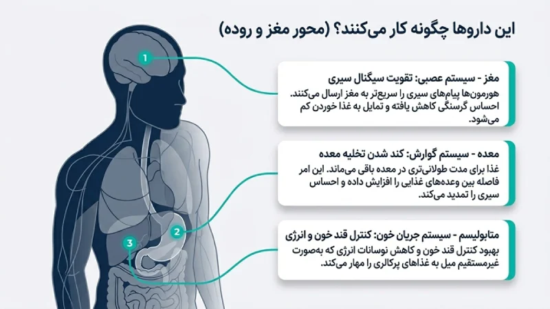 مقایسه بهترین آمپولهای لاغری دنیا، کدام آمپول لاغری بهتر است؟ 2 جدیدترین آمپول لاغری دنیا