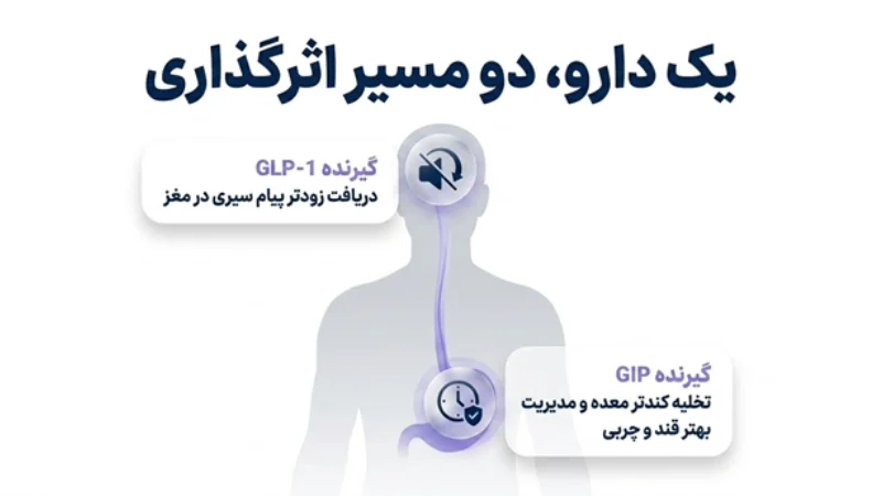 با آمپول مانجارو چند کیلو لاغر میشویم؟ بررسی کاهش وزن، عوارض و تجربه کاربران 4 آمپول لاغری مانجارو